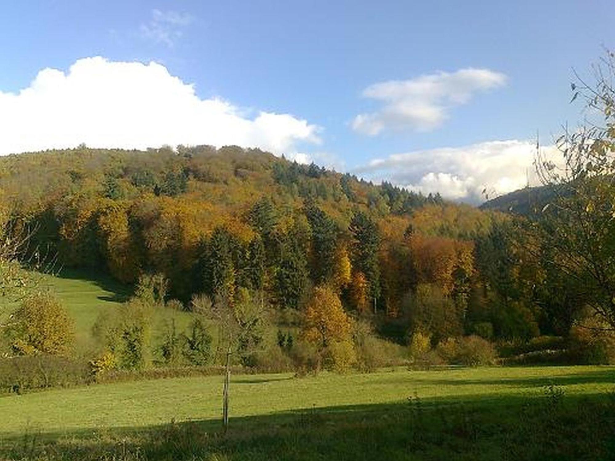 Апартаменты Rosenhof Broggingen Хербольцхайм Экстерьер фото